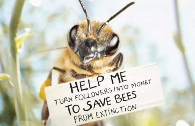 Η πρώτη influencer μέλισσα στον κόσμο που στοχεύει στην προστασία του είδους της