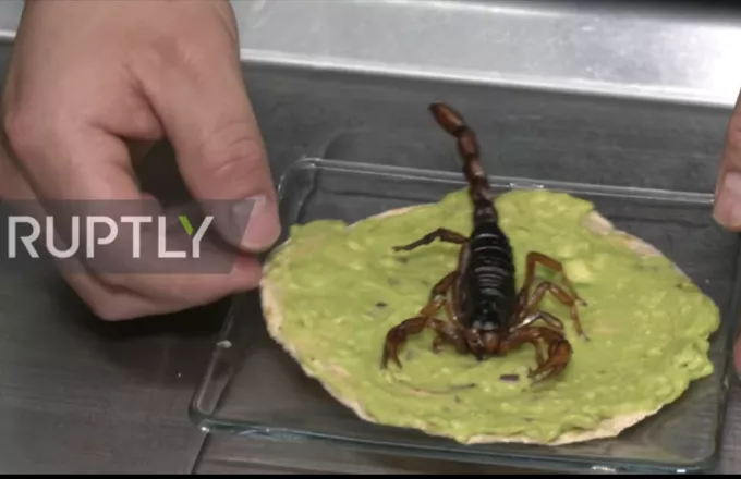 Mεξικό: Γεύσεις που... κεντρίζουν τον ουρανίσκο -Θα τρώγατε τάκος με σκορπιό;