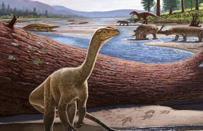 Ανακαλύφθηκε ο Mbiresaurus ο αρχαιότερος δεινόσαυρος της Αφρικής