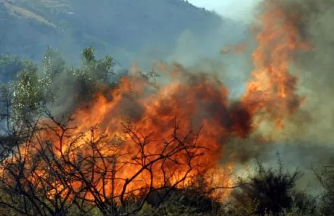 Κλειστή η εθνική Αθηνών-Πατρών λόγω πυρκαγιάς στο δήμο Αιγιαλείας