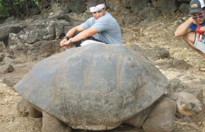 Πέθανε ο «μοναχικός Τζορτζ», η τελευταία γιγάντια χελώνα στον κόσμο