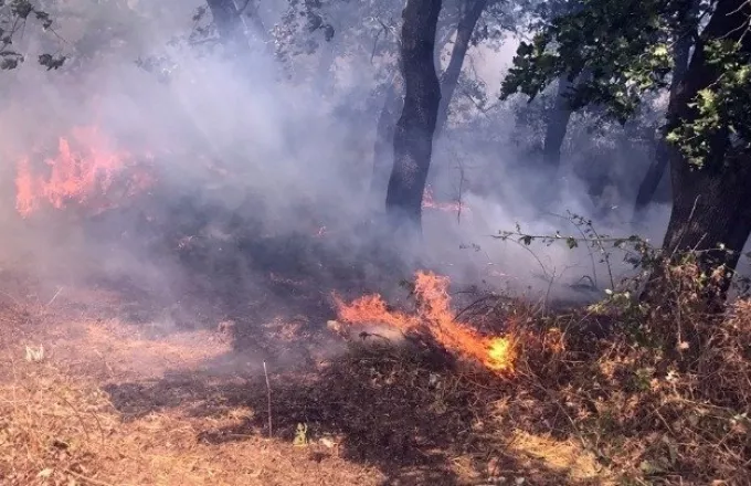Υπό μερικό έλεγχο η πυρκαγιά σε δασική έκταση στο Ελικοδρόμιο Μαραθώνα
