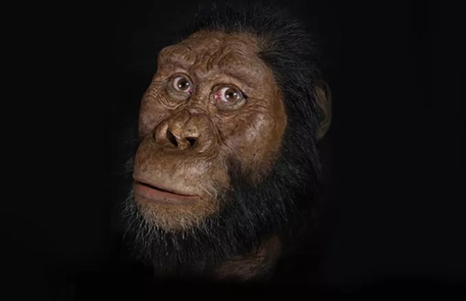 Μοναδικό κρανίο προγόνου μας ηλικίας 3,8 εκατ. ετών βρέθηκε στην Αφρική