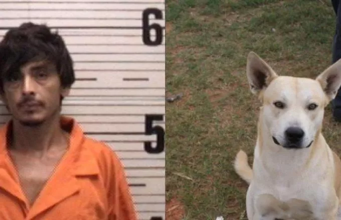 ΗΠΑ: Έμπορος ναρκωτικών προδόθηκε στις αρχές από το... σκύλο του 