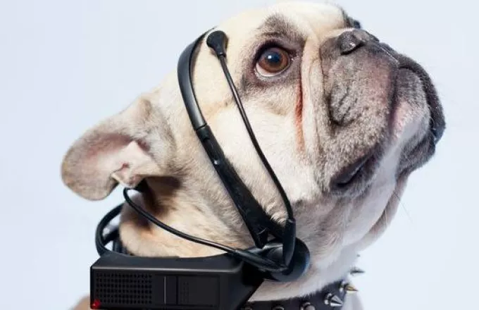Τον Απρίλιο του 2014 κυκλοφορεί ο πρώτος «σκυλομεταφραστής»! (video)