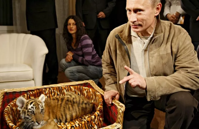 Όταν οι κινέζοι αγρότες έμαθαν να φοβούνται τους τίγρεις του Πούτιν