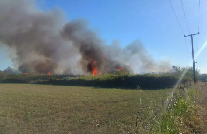 Καλαμάτα: Υπό έλεγχο η πυρκαγιά απέναντι από το αεροδρόμιο (video) 