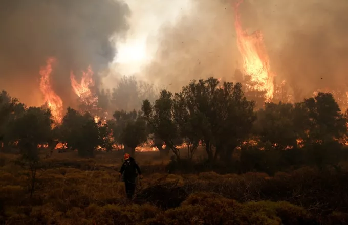 Ελαφόνησος: Κάηκε το 25% του νησιού από τη μεγάλη φωτιά