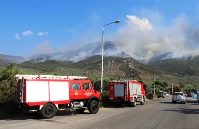 Χαλκιδική: Ελεγχόμενη η φωτιά στη Σιθωνία 