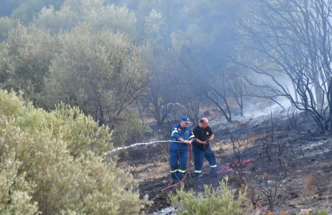 Μάχη με φωτιές σε Κιλκίς και Θεσπρωτία δίνει η Πυροσβεστική
