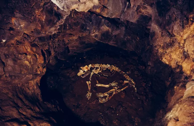 Homo sapiens και προϊστορικές αρκούδες : Η σκληρή μάχη για τα σπήλαια