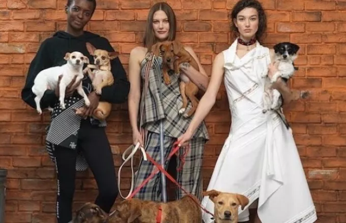 Σκυλάκια προς υιοθεσία σε διαφημιστική καμπάνια οίκου μόδας