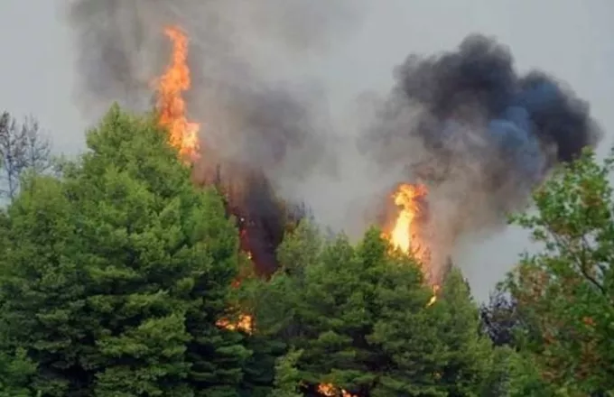 Τρεις ύποπτοι για σκόπιμη πρόκληση της μεγάλης πυρκαγιάς στην Εύβοια