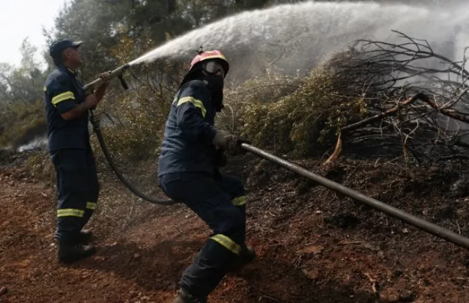 Φωτιά στην περιοχή των Ερυθρών του δήμου Μάνδρας- Ειδυλλίας 