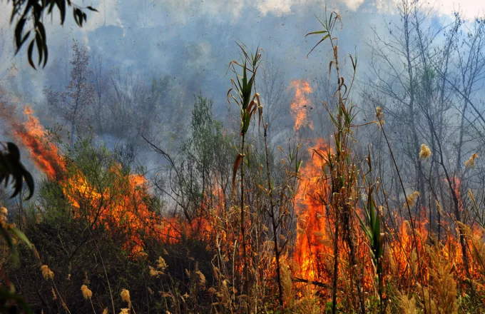 Υπό έλεγχο η φωτιά στο Σούνιο - Καίει χαμηλή βλάστηση