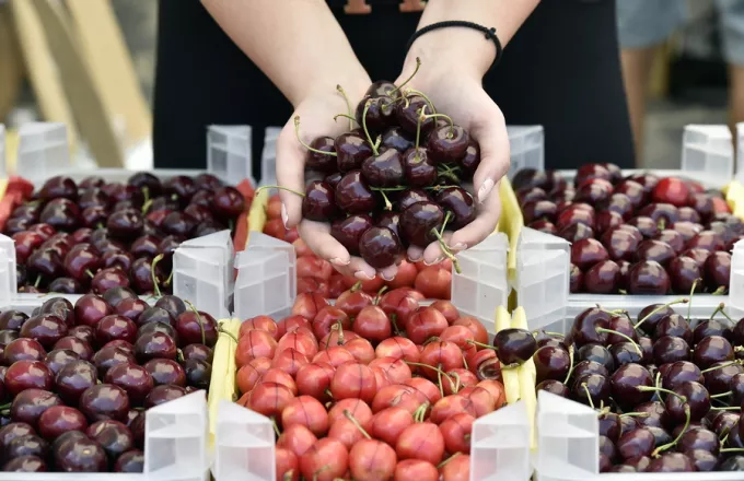Δεσμεύτηκαν 3,9 τόνοι φρούτων σε επιχείρηση  στο Ρέντη