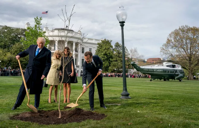 Σε καραντίνα το δέντρο που φύτευσε ο Μακρόν με τον Τραμπ στον Λευκό Οίκο