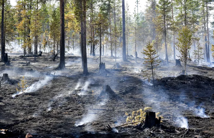 Πυρκαγιές στη Σουηδία: Οι αρχές ανακοίνωσαν ότι η κατάσταση βελτιώνεται
