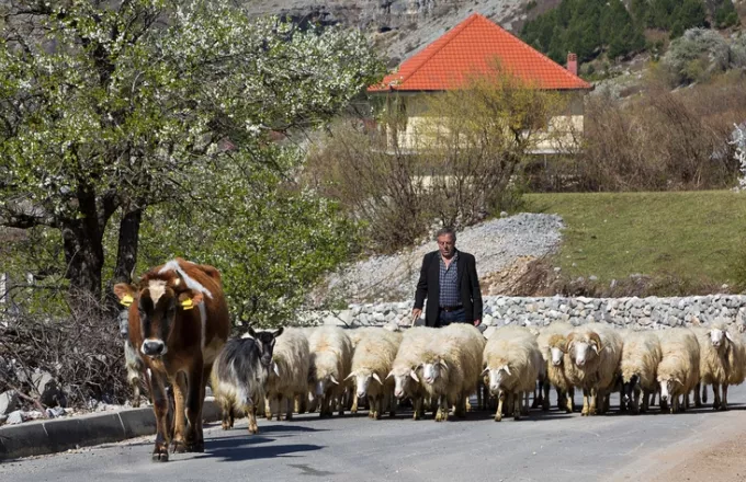 Γερμανικός Τύπος: Ελληνικές οι κατσίκες, Αλβανοί οι βοσκοί