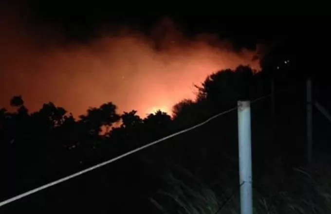 Εύβοια: Σε ύφεση η φωτιά στο δήμο Δίρφης-Μεσσαπίων