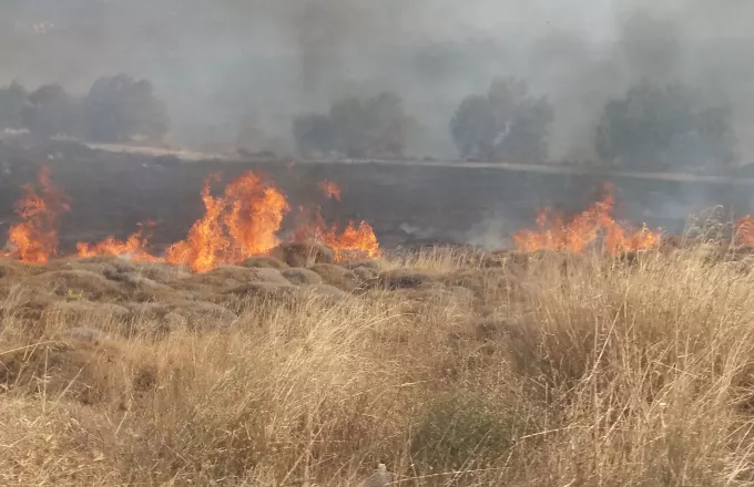 Υπό μερικό έλεγχο η πυρκαγιά στη Σητεία Κρήτης