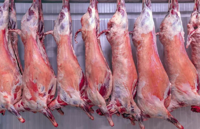 Πάνω από 260 κιλά ακατάλληλου κρέατος δεσμεύτηκαν σε κρεοπωλεία του Πειραιά