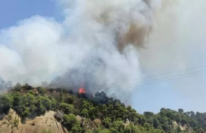 Ηλεία: Νέο πύρινο μέτωπο . Μαίνεται η πυρκαγιά στη Δαφνιώτισσα (φωτό) 