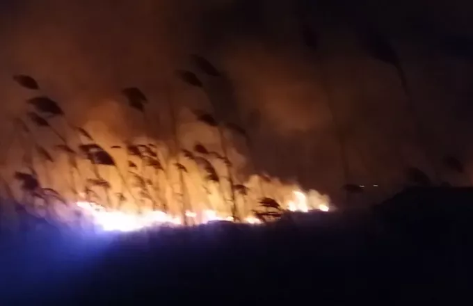 Ηλεία: Ολονύκτια μάχη με τις φλόγες - Εκκενώθηκαν σπίτια