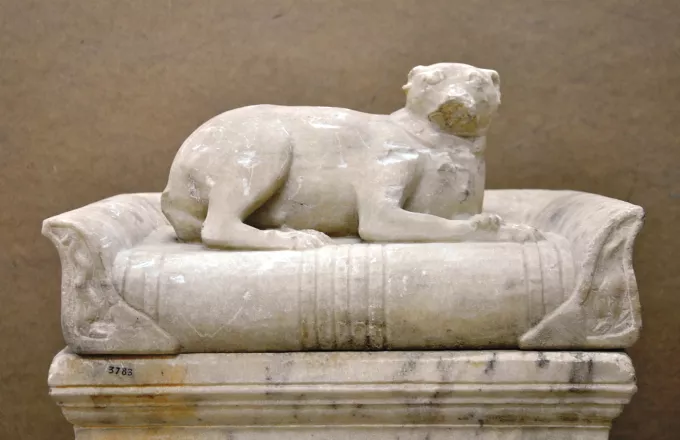 Σπάνιο ταφικό μνημείο: Ο εξηπλωμένος μικρός κύων στο Αθέατο Μουσείο