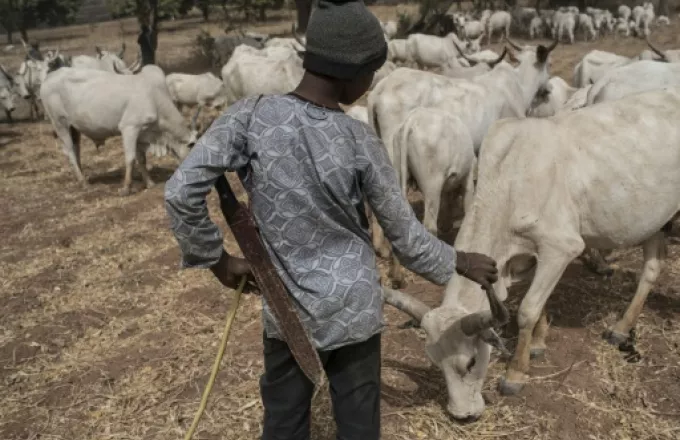 Νιγηρία: Νυχτερινή απαγόρευση κυκλοφορίας λόγω συμπλοκών αγροτών με γεωργούς