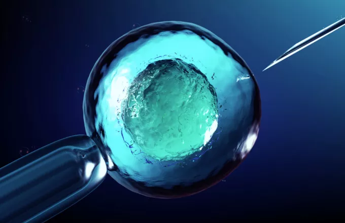 Επιστήμονες δημιούργησαν πλήρως ανεπτυγμένα ανθρώπινα ωάρια