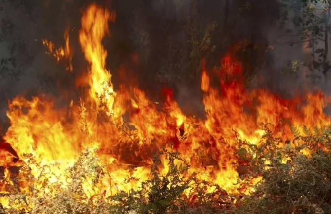 Κύπρος: Μεγάλη πυρκαγιά στο δάσος της Πάφου 