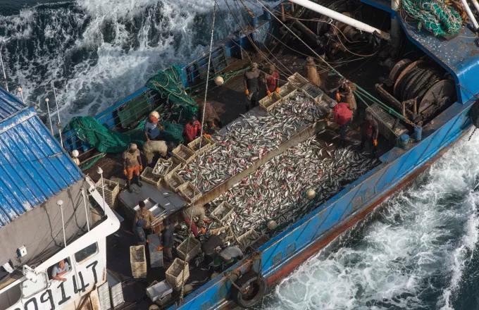 Παγκόσμια αγορά θαλασσινών: λαβύρινθος χωρίς έξοδο;