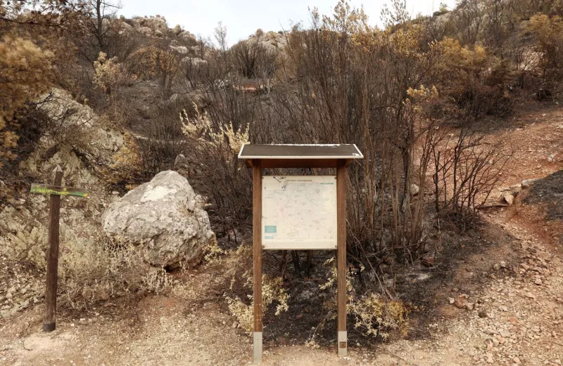 παρνηθα καμμενα