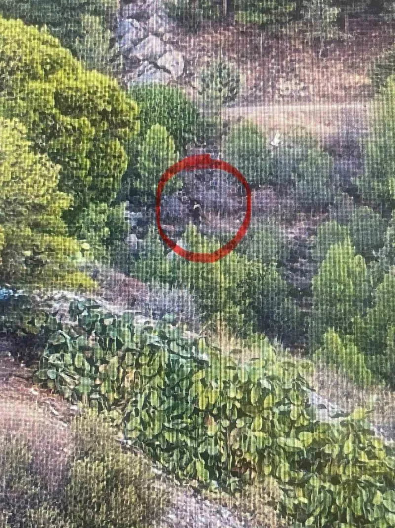 Φωτιά στο δάσος Υμηττού