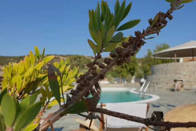 Σκηνή με πισίνα