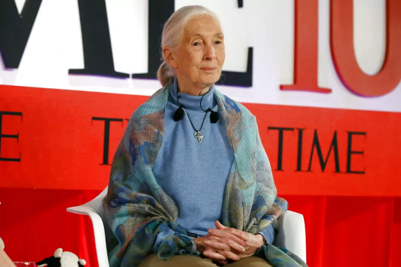 Jane Goodall