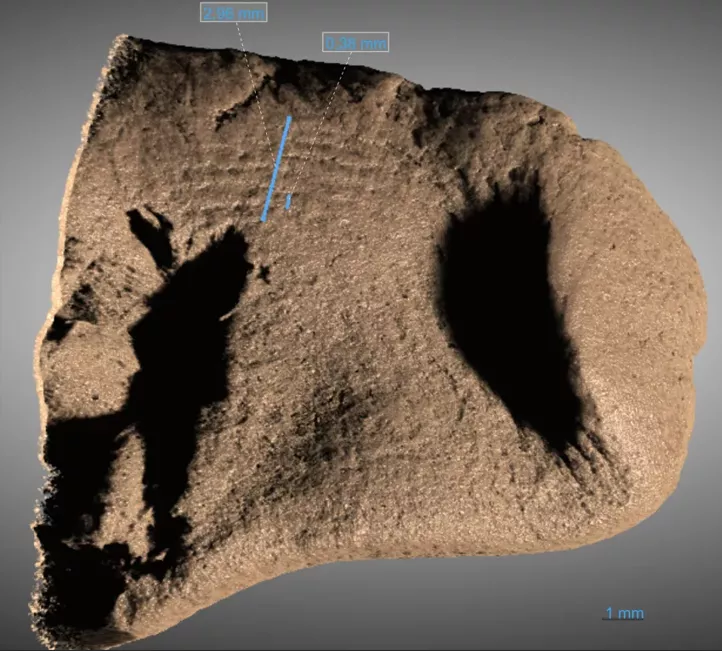 Αρχαίο αποτύπωμα 