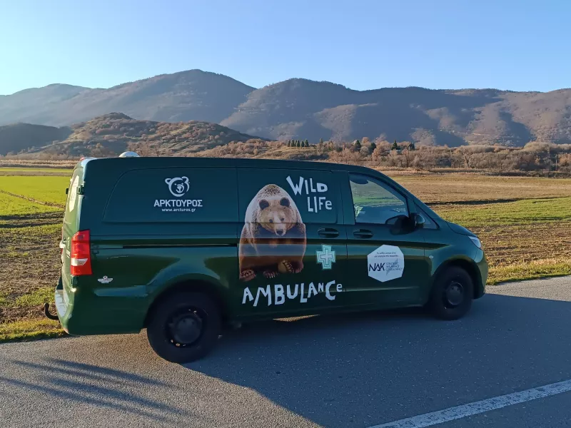 &nbsp;Το ασθενοφόρο αγριων ζώων