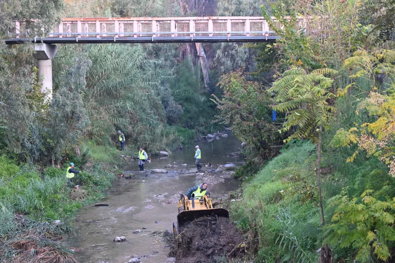 Αυτοψία Χαρδαλιά