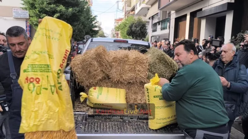Καρδίτσα 