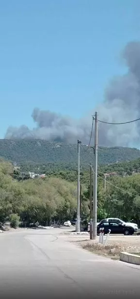 Φωτιά στα Μέγαρα