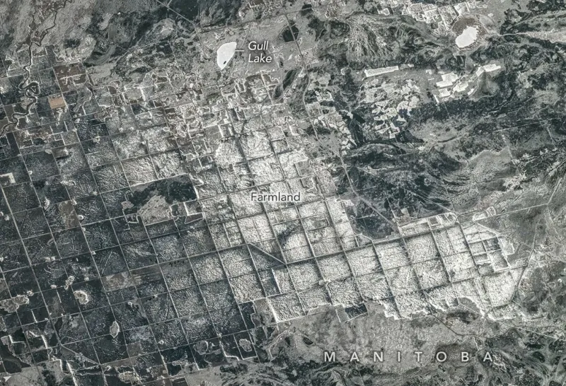 llllllllll