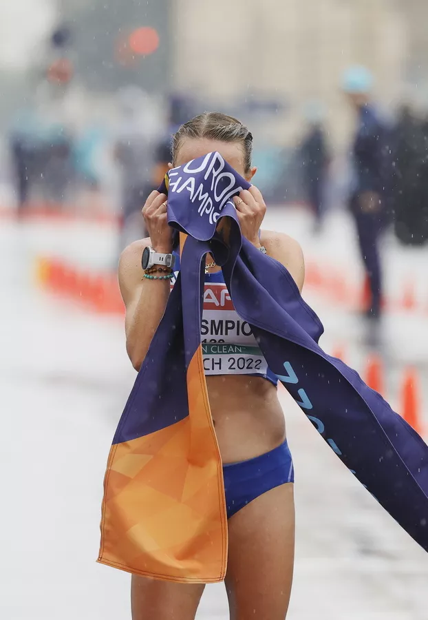 Ντρισμπιώτη