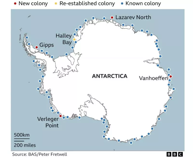 αυτοκρατορικοί πιγκουίνοι