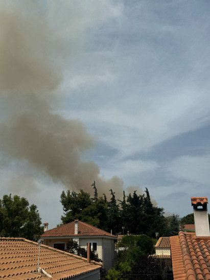 Πηγή: Πυρκαγιά Ενημέρωση