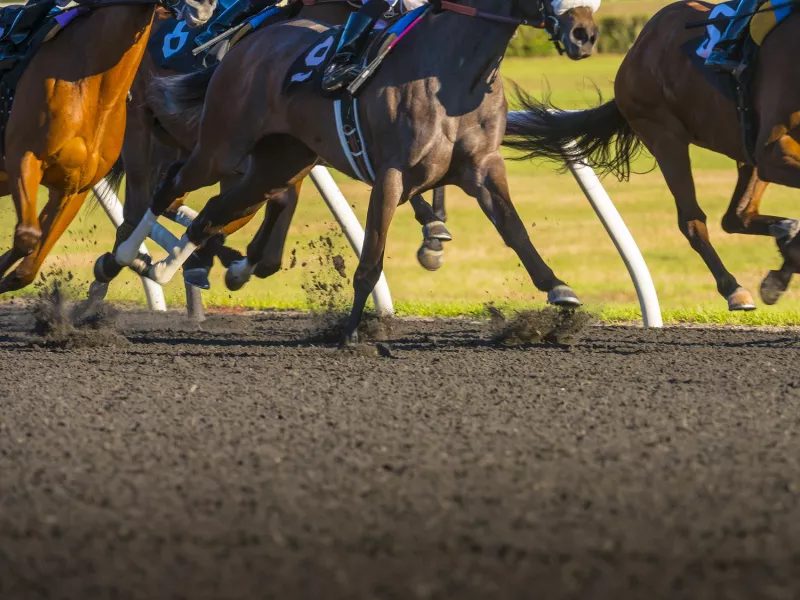 Ο κύριος Αυγολέμονος 