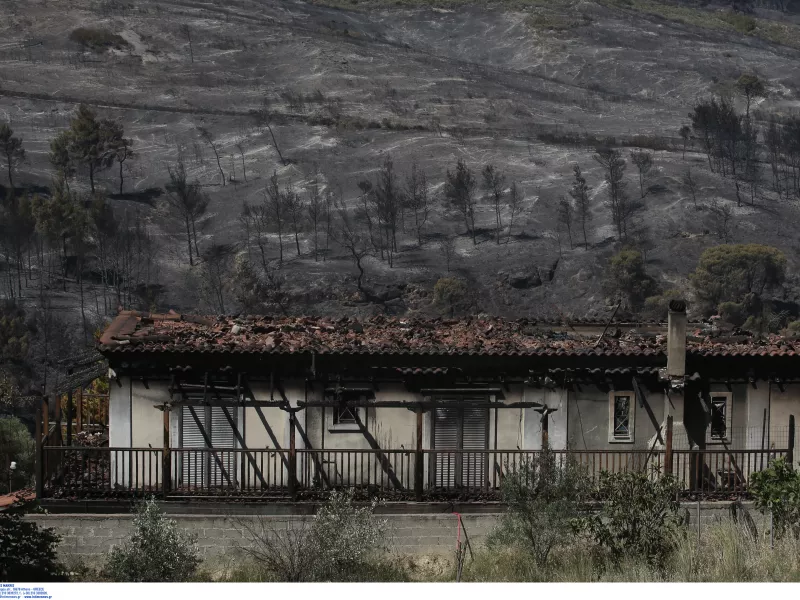 Τεράστια καταστροφή σε Κορινθία - Δυτική Αττική: Κάηκαν πάνω από 71.000 στρέμματα 