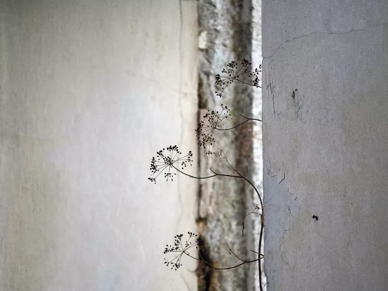 «Intimate views»: Έκθεση φωτογραφίας στην Κέρκυρα, για την Κέρκυρα 