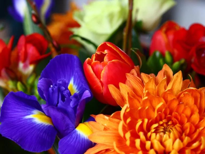 Εορτολόγιο